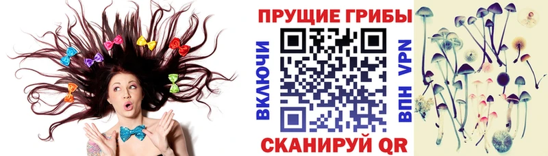 Галлюциногенные грибы MAGIC MUSHROOMS кракен онион Бирюсинск